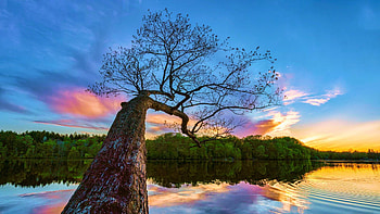 Hinckley Lake, Ohio, colors, clouds, sky, water, usa, sunset, reflections, tree HD wallpaper