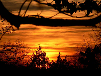 autumn sunset, bright, fall, colourful, country, orange, sunset HD wallpaper