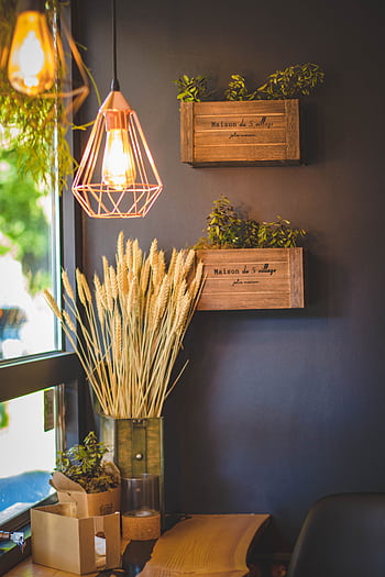 Cozy indoor space with rustic decor, warm lighting, and natural elements. HD phone wallpaper
