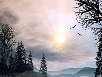 November Sky, birds, trees, cloudy sky, mountains, sun HD wallpaper
