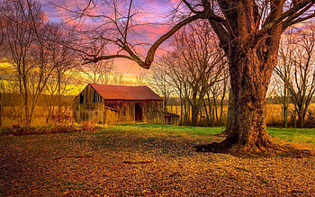 Autumn Fields, colors, sky, cabin, sunset, tree HD wallpaper