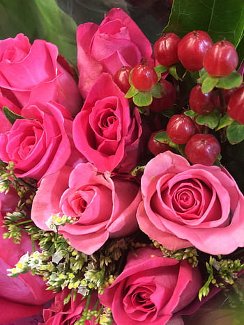 Close-up of vibrant pink roses with lush greenery and red berries. HD phone wallpaper