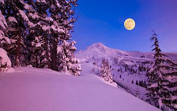 Mountains-winter, winter, trees, mountains, moon HD wallpaper