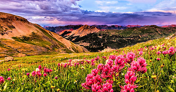 Summer in Colorado Mountains, blossoms, landscape, clouds, sky, flowers HD wallpaper