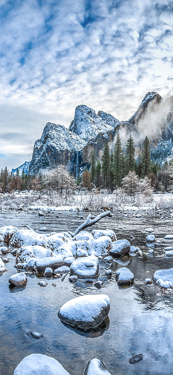 winter, nature HD phone wallpaper