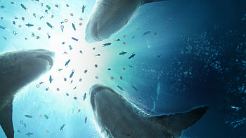 Meg 2: The Trench — Megalodon Abyss, Meg 2: The Trench HD wallpaper