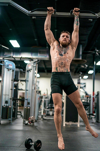 Conor McGregor, Wrestling, Notorious Conor McGregor HD phone wallpaper