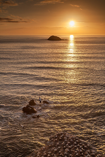 Nature, Sunset, Seagulls, Rocks, Horizon HD phone wallpaper