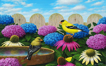 Goldfinches, artwork, birds, painting, blossoms, fence, flowers, sky HD wallpaper