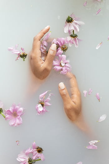 Relaxing aesthetic with hands and flowers submerged in a milky bath. HD phone wallpaper