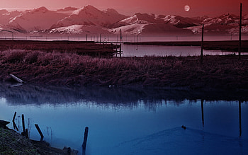Nature, Ducks, Sky, Twilight, Moon, Dusk, Evening, Silence, Pond HD wallpaper