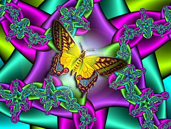 Butterfly Twists, butterfly, twisted fractal HD wallpaper