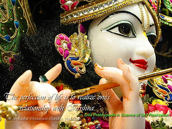 HareKrishna, krishna, scorpionkish, kish, krish HD wallpaper