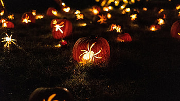 Festive countdown, New beginnings, Vibrant celebrations, live HD wallpaper