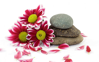 A SPA TREATMENT, SMELL, RELAX, SPA, RETREAT HD wallpaper