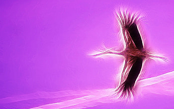 Violet, , Cranes HD wallpaper