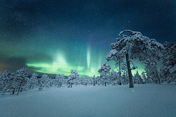 Finland Night Aurora Outdoor Nature , aurora, sky, cold, snow, finland, nature HD wallpaper