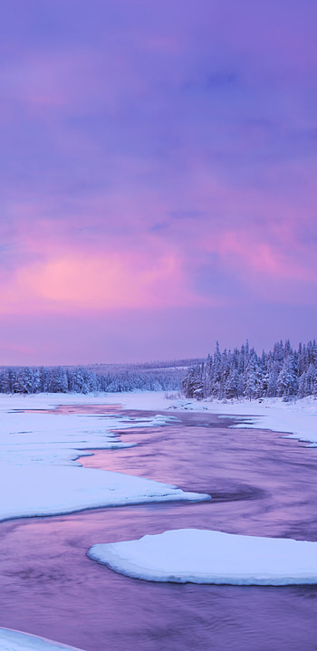 Pink Winter Sunset, snow, sky, nature, winter HD phone wallpaper