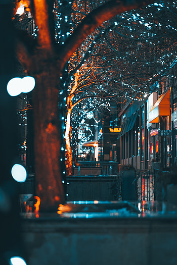 Cities, Trees, City, Building, Garland, Street, Garlands HD phone wallpaper