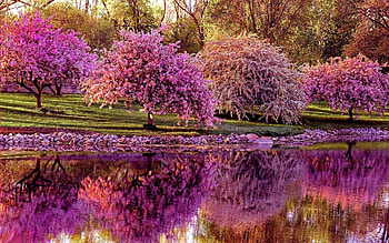 definition abstract spring garden high resolution . HD wallpaper