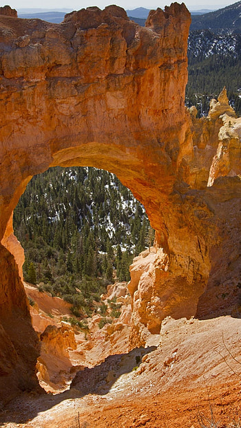 Bryce Canyon National Park, Natural wonders, , Stunning beauty HD phone wallpaper