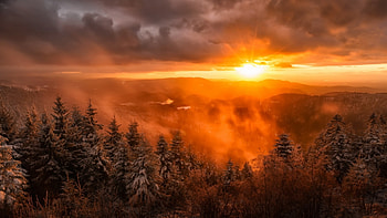 Morning Fog, sunrise, hills, clouds, colors, trees, sky, forest HD wallpaper