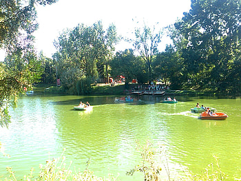 A lake in a pleasure park in Romania, pleasure, nature, lake, park HD wallpaper