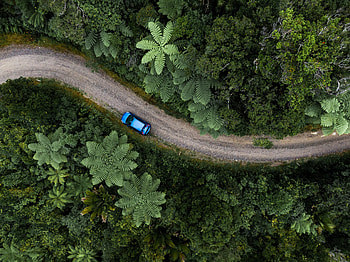 Nature, Palms, View From Above, Road, Car, Machine HD wallpaper
