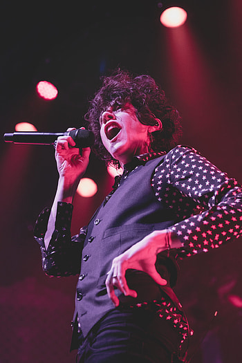 LP, Ogden theatre, Denver, Greeblehaus HD phone wallpaper