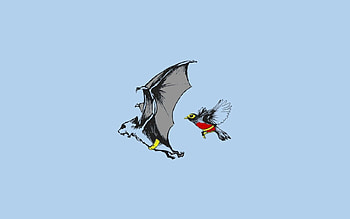 Vector, Bird, Flight, Wave, Sweep, Bat HD wallpaper