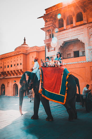 Tourists enjoying an elephant ride at Amber Fort in Jaipur, capturing vibrant Indian architecture and culture. HD phone wallpaper