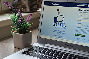A Lenovo laptop displaying Facebook login beside a lavender plant indoors. HD wallpaper