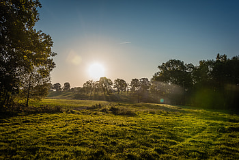 Nature, Sun, Summer, Glare, Lawn HD wallpaper