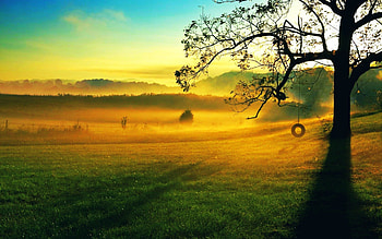 Beautiful View, blue, landscapes, Beautiful, trees, sky, nature, sunset HD wallpaper