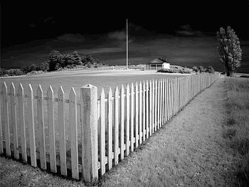 Long White Fence, white, house, tree, fence HD wallpaper