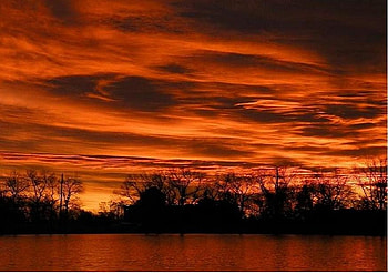 RED, clouds, trees, sky, water, reflections, sunset, red colors HD wallpaper