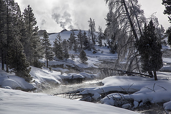 Snow, Winter, River, , Yellowstone National Park, Landscape, Nature, Tree, Wilderness, Wyoming, Yellowstone, National Park HD wallpaper