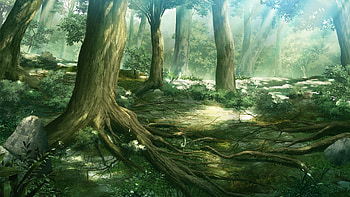 Anime Forest Scenery 7990 HD wallpaper