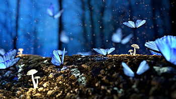 Butterflies, blue, abstract, fantasy HD wallpaper