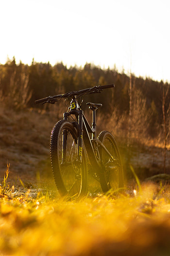 Nature, Miscellanea, Miscellaneous, Bicycle, Mtb HD phone wallpaper