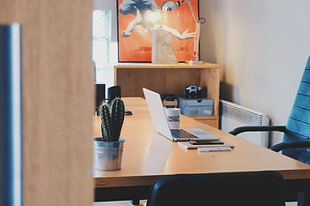 A modern office desk setup featuring a cactus plant, laptop, and stylish decor in a contemporary office space. HD wallpaper