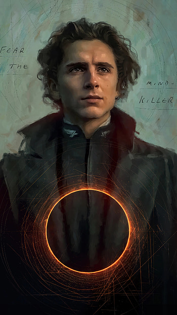 Paul Atreides, Timothee Chalamet, Stunning , Amaze your screen HD phone wallpaper