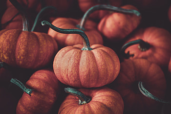 Halloween, pumpkin, fruits HD wallpaper