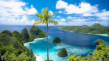 Micronesia, Palau island, , Stunning backgrounds HD wallpaper