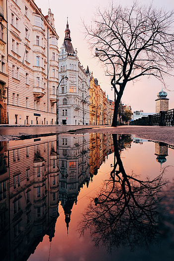 Architecture, Cities, City, Reflection, Puddle, Prague, Czech Republic, Czechia HD phone wallpaper