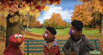 Sesame Street, Diversity representation, Inclusive lessons, Thoughtful muppets HD wallpaper