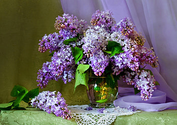 * Lilacs *, lilacs, nature, flowers, flower HD wallpaper