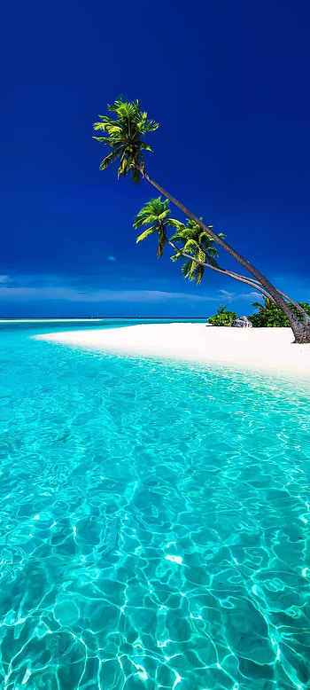 Sea beach, sky, water resources HD phone wallpaper