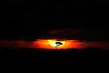 Late Sunset, late, beautiful, , sunset HD wallpaper