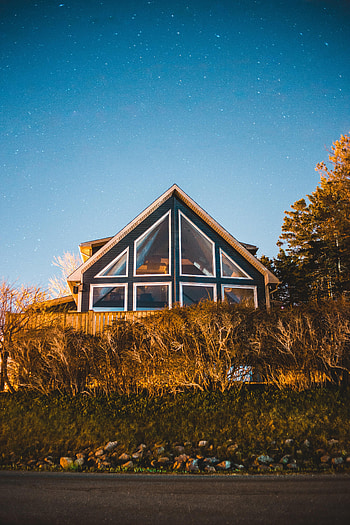Bush, Building, Miscellanea, Miscellaneous, Starry Sky, House HD phone wallpaper